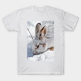 Snow Shoe Hare T-Shirt